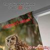 2pcs   2D FLAT PRINTING Curtains (Without Rod) Blossom Owl Modern Curtains Roller Blinds Semi-Sheer Curtains Decorations Inside