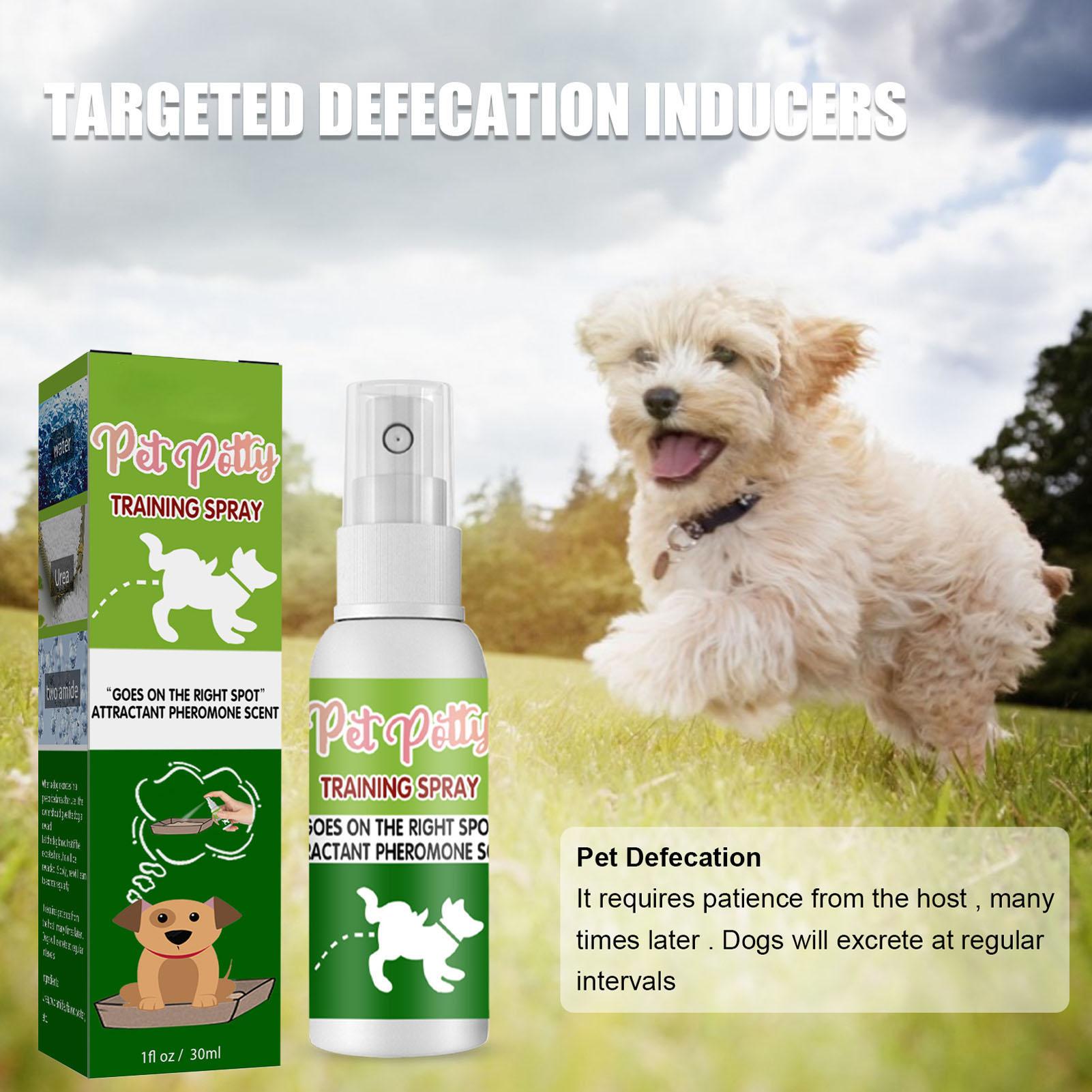 30ml Hundetoilettentrainingsspray Gesundheit Attraktiv Tragbar Welpenhilfe Trainingsspray für Welpen und Hunde beige