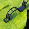 Plant Support Clips Plastic Clips for Securing Plants Reusable Plant Fixing Clips Garden Clips for Tomato Vine Climbing Plants Vegetables