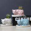 Cute Cat Ceramic Succulent Planter with Tray - Creative Animal Shape Flower Pot for Cactus/Bonsai/Indoor Plants - Home
