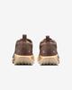 FQ0912-200 Nike Pegasus Trail 5 GORE-TEX Mink Brown Orange Chalk Pearl (Women's)