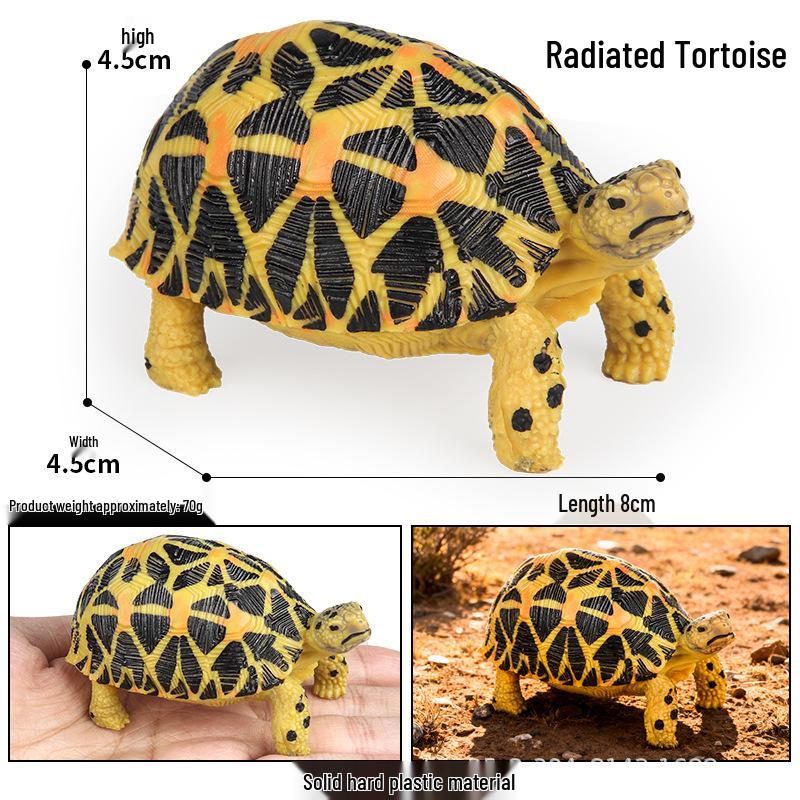 Wildtier Schildkröte Lernmodell für den Kindergarten (Sulcata, Rotfußschildkröten, Keks-Schildkröten)