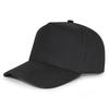 Stock 5 Panel Cotton Baseball Caps for Women Men Plain Blank Cheetah Leopard Embroidery Outdoor Sports Common Fabric