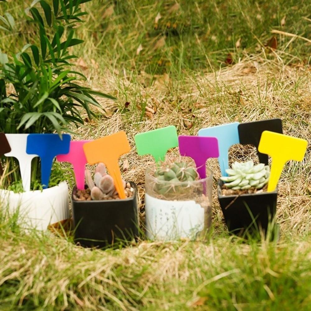 100PCS Waterproof Nursery Garden Plant Tags Moisture-proof Markers Label T-type Tags  Greenhouse