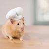 Pet Accessories Adjustable Hamster Chef Hat Breathable Decorative Pet Costume Hat Comfortable Pet Dress Up Hat Photo Prop