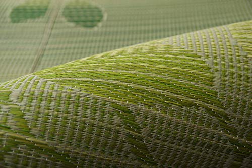 IKEHIKO Igusa Rug Carpet, Loose, Green, 180 x 240 cm, 8470380