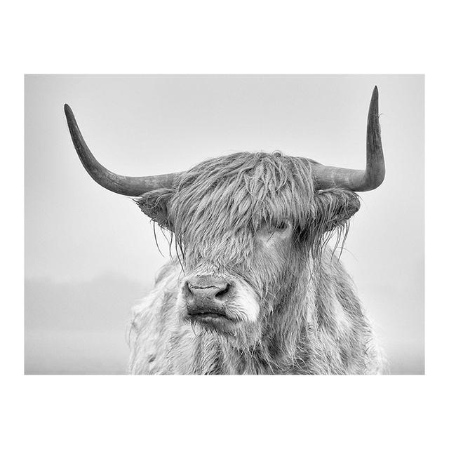 Black and White Highland Cow Cattle Canvas Painting Nordic Posters and Prints Wall Art Pictures for Living Room Home Decoration No Frame