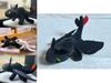 Soft Plush How To Train Your Dragon Toothless Night Fury Toy Available In Various Sizes Perfect For Anime Fans