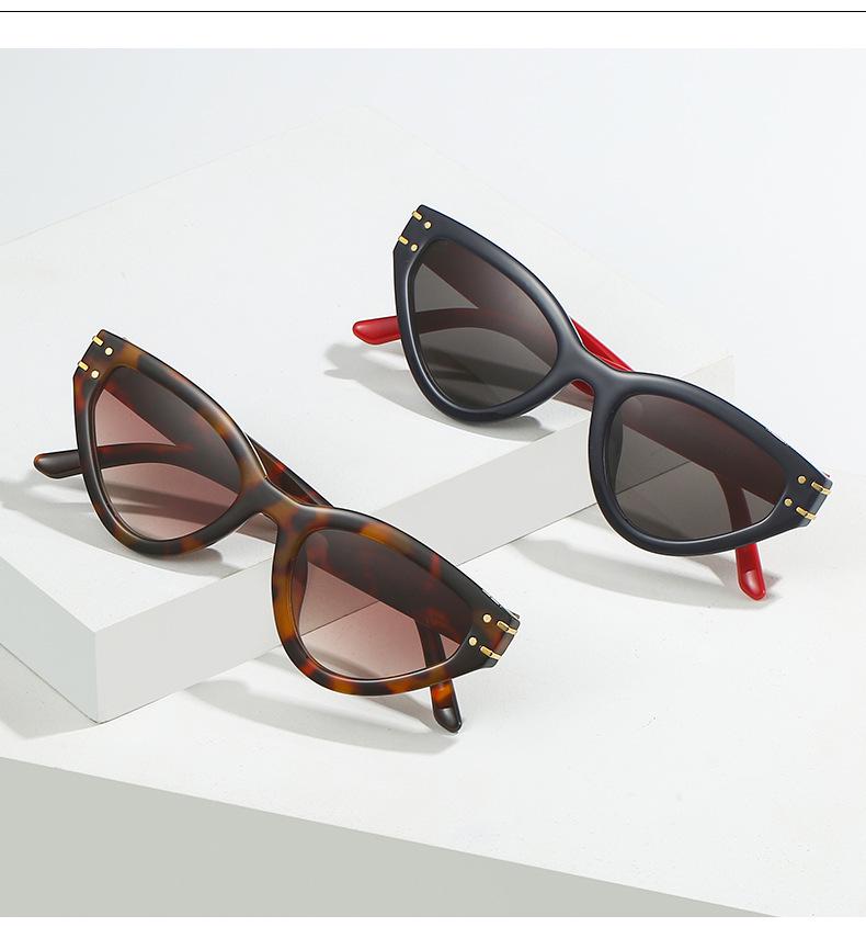 Cat Eye Sunglasses 2315: Trendy European & American Street Style