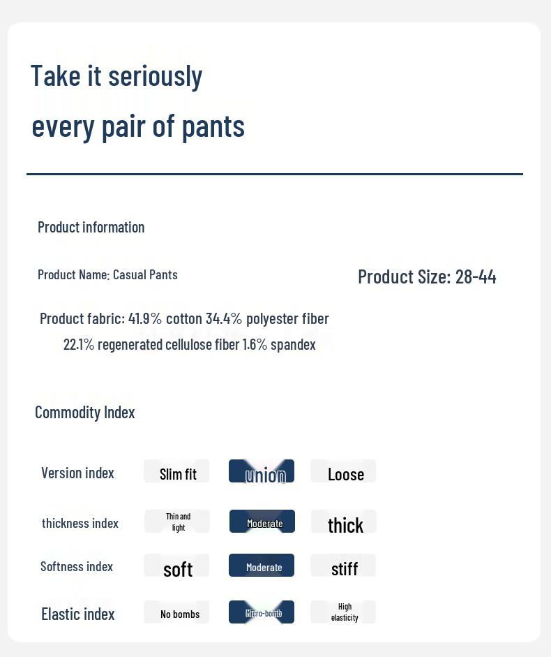 Fengxun Men's Autumn/Winter Thickened Straight-Leg Casual Pants FX7103-1