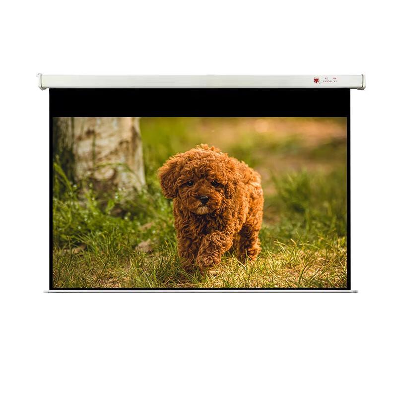 

Hongye 84-inch 16:9 Electric Remote Projector Screen
