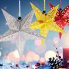 Hanging 3D Christmas Tree Lampshade Paper Five-Star Decorative Lampshade  Home Decor