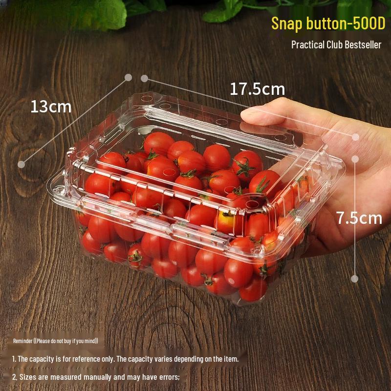 Handon Disposable Fruit Container