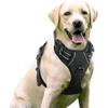 Animals & Pet Supplies > Pet Supplies > Pet Medical Collars