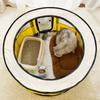 Dog Playpen with Door and Top for Small Dogs Indoor Exercise  Pet Tent Playground for Cats Multiple Colors S/for M