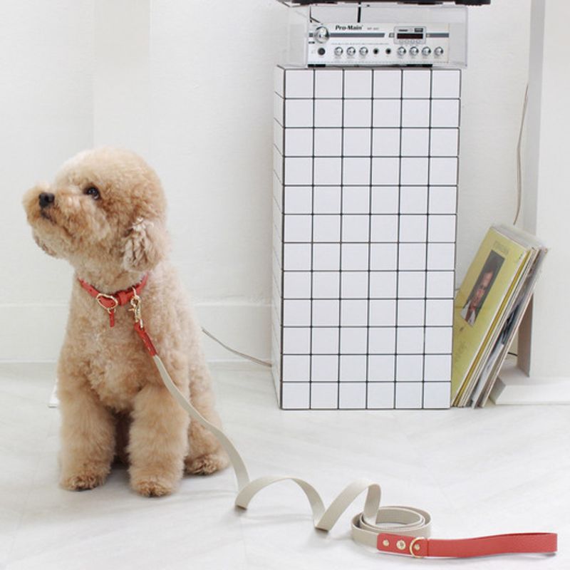 MAISON DE MIU Partner do biegania Smycz skórzana i parciana Koralowa