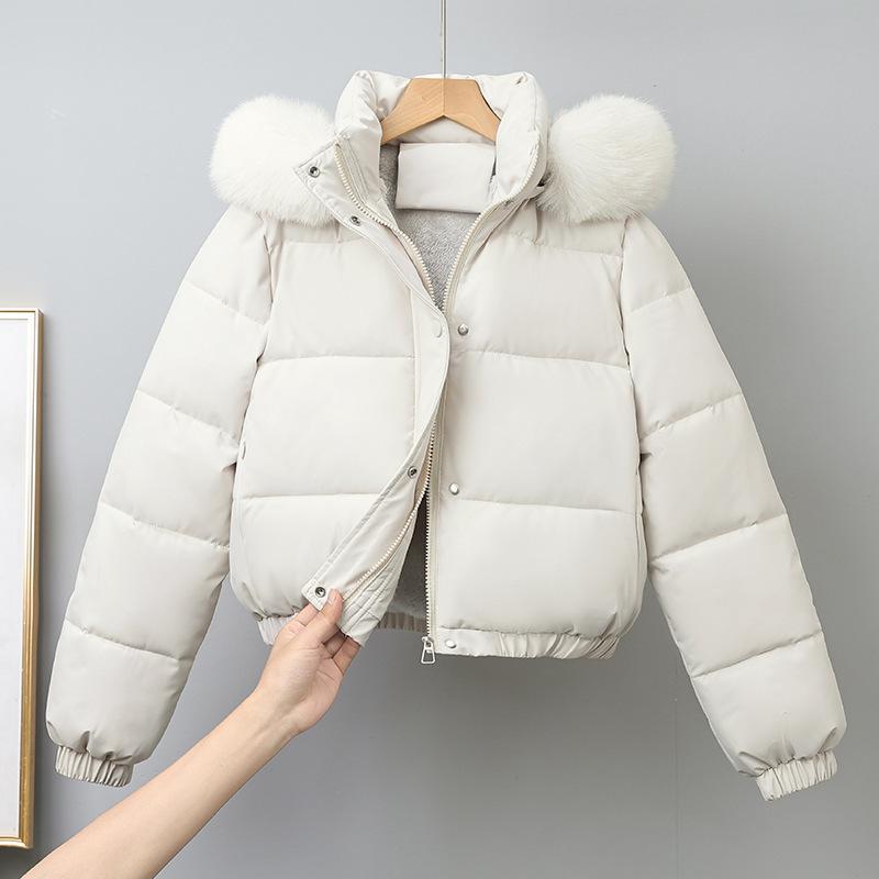 Short cotton-padded female pie overcomes Hong Kong style winter thickened student cotton-padded jacket large fur collar jacket