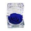 Romantic Ring Box Handmade Plastic Nice-looking Forever Rose Jewelry Box for Anniversary