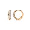 Luxenter and 18k Gold Plated Earrings - Yssis