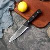 4.8 Inch Utility Knife 67-layers Damascus Steel 10Cr15MoV Blade Ebony Handle Paring Fruit Barbecue Slicing Cleaver Kitchen Knife