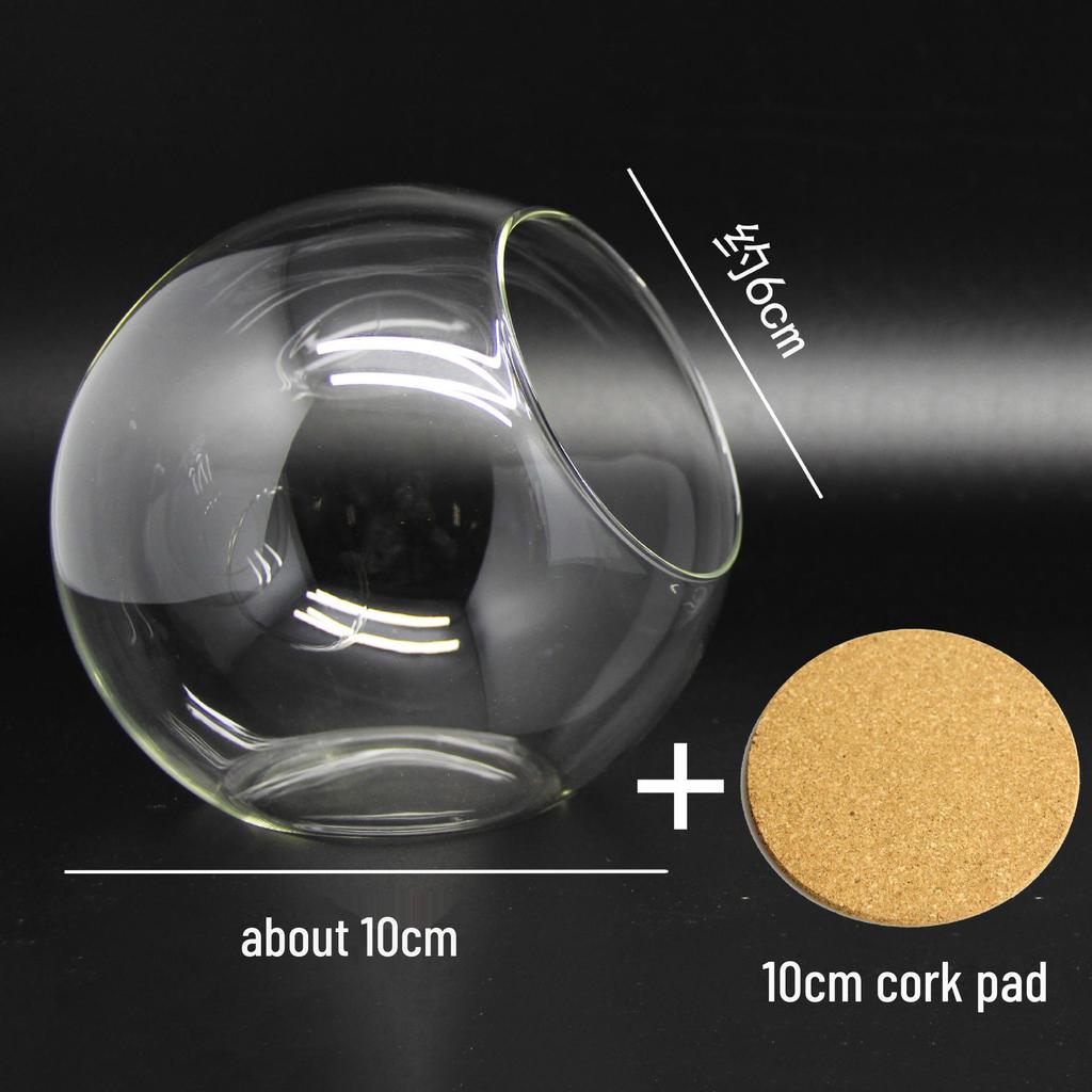 Round Oblique-Mouth Glass Vase for Succulents and Micro Landscapes