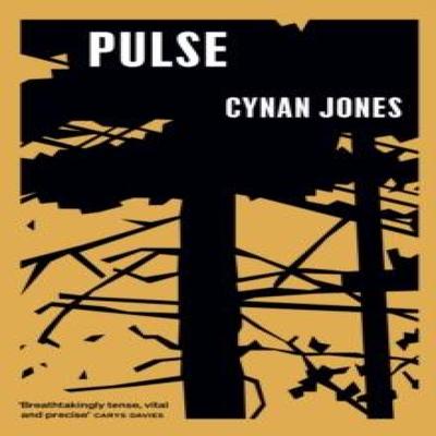 Pulse by Cynan Jones Hardback Book 9781783782772