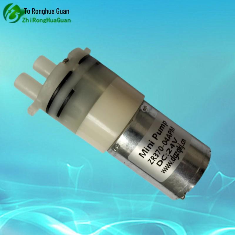 Ronghua Miniature Electric Self-Priming Water Pump for Household Use