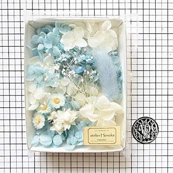 Something Blue Flower Material Set Handicraft Craft Herbarium Flower Material Aroma Wax Sachet Preserved Flowers Hydrangea Breath Immortelle Baby's