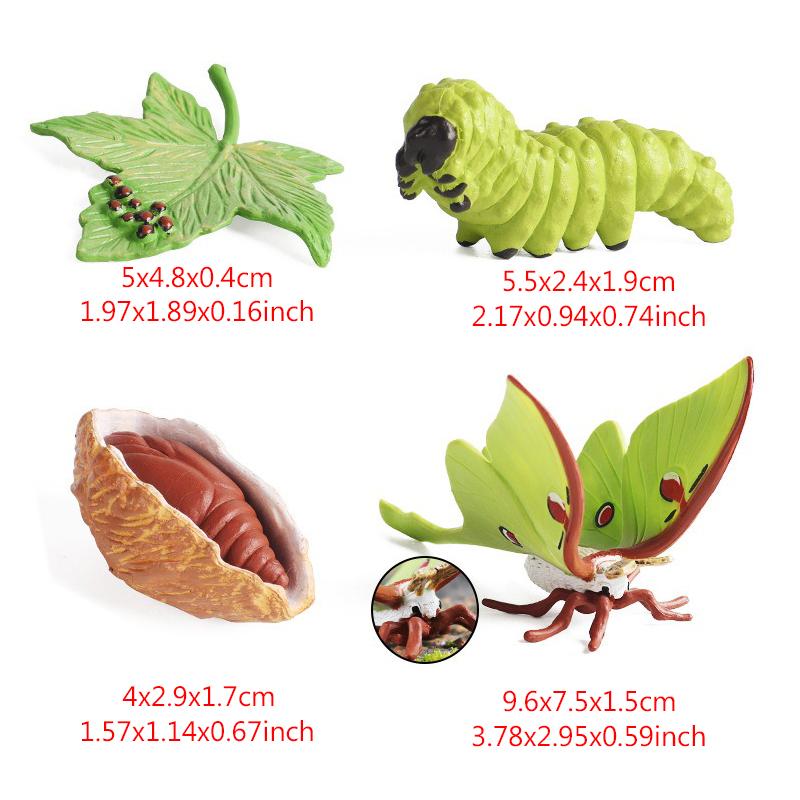 

Simulation Grow Cycle Model Creative Plant Animal Insect Growth Trajectory Observation Cognitive Prop Funny Teaching Aids QC-ZYF