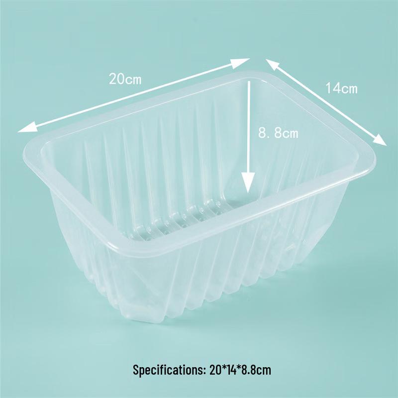 Disposable Food Preservation Box