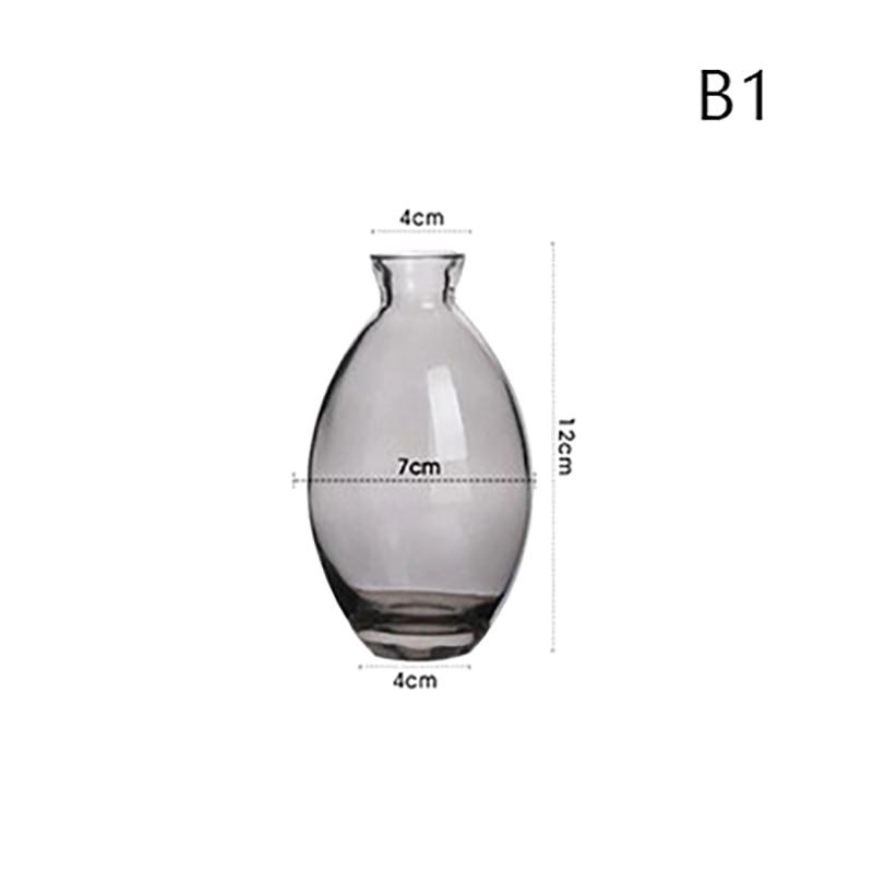 Przezroczysty szklany wazon na nasiona awokado Wazon na nasiona Zestaw do uprawy Wazon na awokado do uprawy Prezent dla miłośników ogrodnictwa Wystrój domu