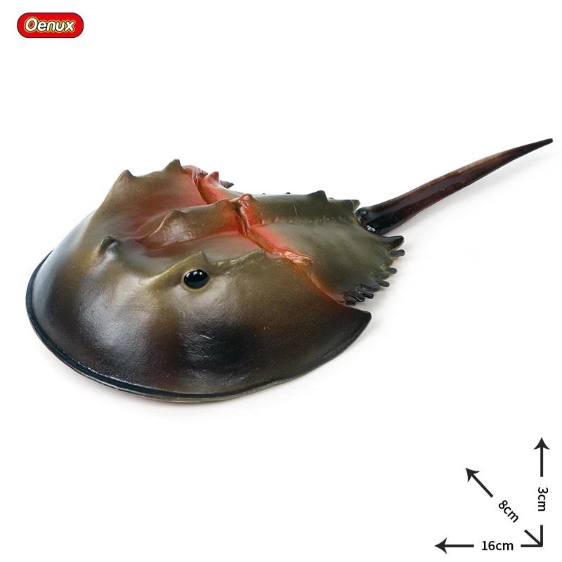 Oenux Ocean Animals Model Coral Jellyfish Ammonite Anemone Sea Scorpion Action Figures Mini Home Decoration Kids Education Toy