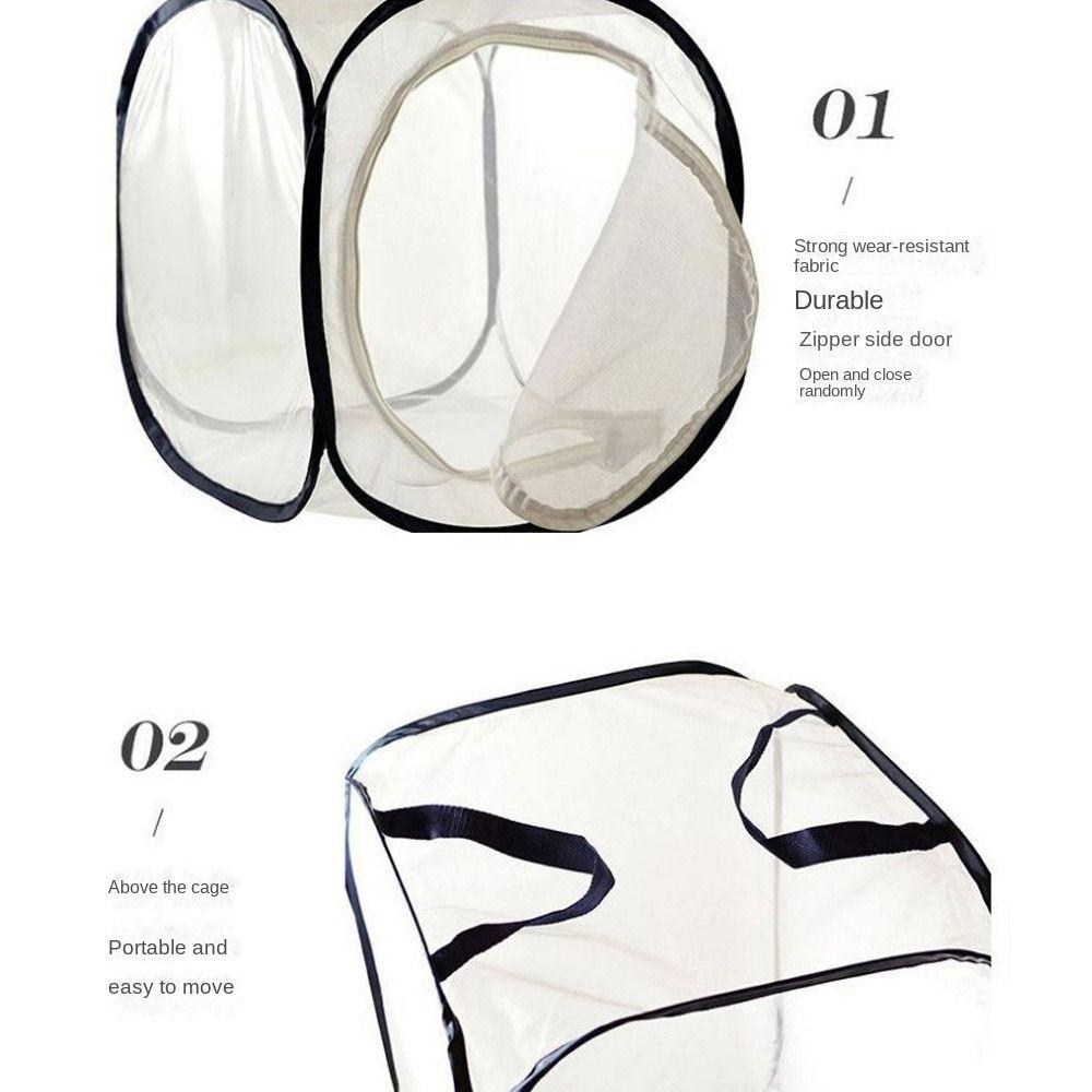 Skládací klec na hmyz Pop-up zimní zahrada Vysoce kvalitní ochranná síť