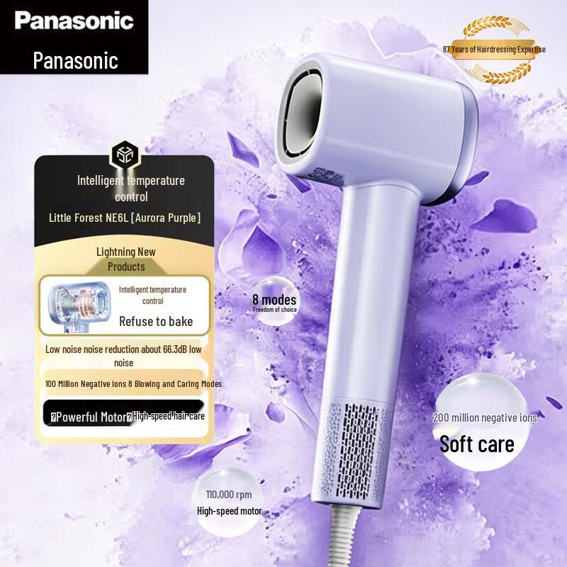 Panasonic NE6L Smart Ionic Hair Dryer CN plug (adapter included)