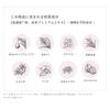 Essence à base de plantes japonaises Ichikami Junno 100 g x 2 Coffret avec bonus Ne pas laver Traitement Soin des cheveux Soin des dommages Réparation