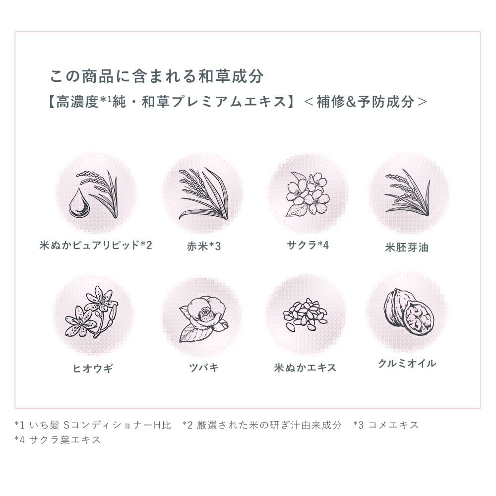Essence à base de plantes japonaises Ichikami Junno 100 g x 2 Coffret avec bonus Ne pas laver Traitement Soin des cheveux Soin des dommages Réparation