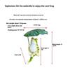 Leaves to cool off simulated frog ornaments fish pond fish tank micro landscape layout home balcony crafts