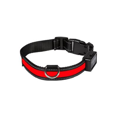 eyenimal dog collar