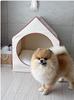 Korean Style House Shaped Pet Bed, Detachable Washable Closed Dog Cat Tent House for Small Medium Pets
