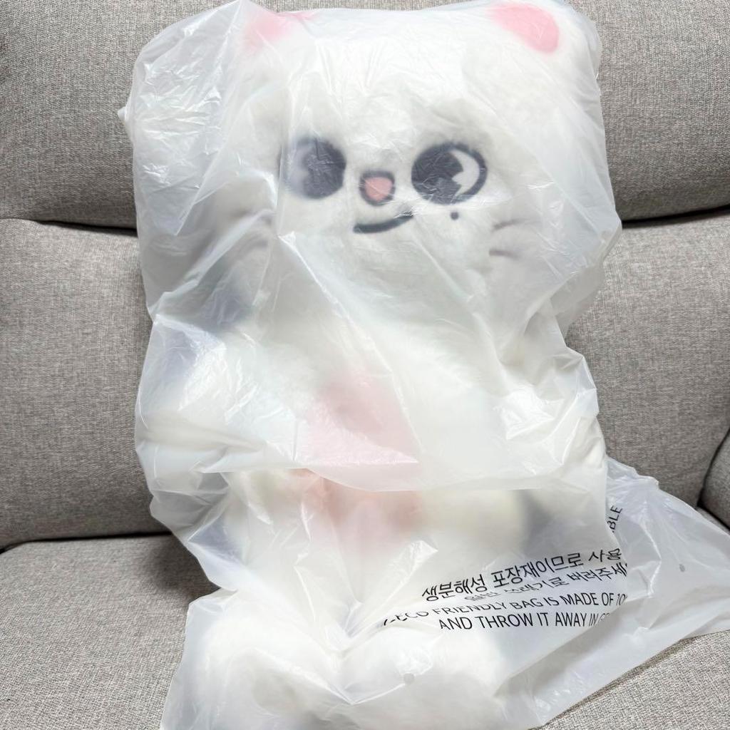 [USED] StrayKids SKZOO PLUSH Teddy Bear ver. Ginillet