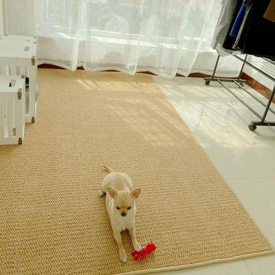 Tapete de imitação de sisal para sala de estar Tapete de chão Hall de entrada Estúdio de fotografia Sofá Tatami japonês Cabeceira Janela saliente Arranhões para gatos