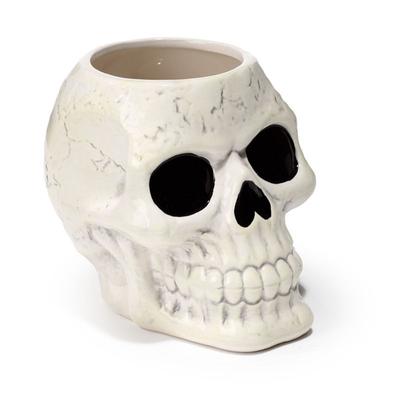 Pkplan26 White Skull Flowerpot