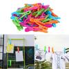 Pack of 72 Plastic Clothes Pegs Securely Clip Garments for Easy Organization