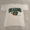 Vintage Hockey T Shirt San Antonio Green Dragons NHL Minor League Mens M 90s Y2k