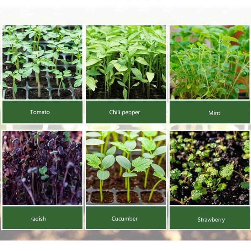 Plastic Seedling Starter Kits with LED Grow Light Plant Nursery Tray with Drainage Holes Vegetable Germination Box