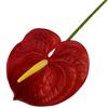 Soft Rubber Artificial Small Anthurium 60cm Simulation Plant Creative Fake Flower  DIY Accessories