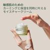Pyunkang Yul Calming Barrier Cream Moisture Moisturizing Face Korean Hyaluronic Moisture Cream [PKY] 50ml, Cream, Care, Cream, Skincare, Cica,