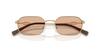 Armani Exchange Sunglasses Matte Pale Gold Brown 54mm 61217354 0AX2056S [ARMANI EXCHANGE]