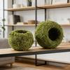 Decorațiuni pentru casă – Ghivece de flori decorative