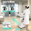 Salon Table Trolley Beauty Rolling Cart Spa Organizer Cart Storage Trolley Equipment Holder Load 15kg/33lbs